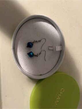 Chamilia Teal-Blue Faceted Drop Earrings with Silver Hooks